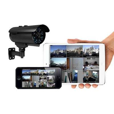 Video Vigilancia, Camaras, Domos, Minidomos, Infrarrojos, Lectura de Matriculas, Videograbadores, Camaras IP, Alta Definicion, Vision nocturna, Camaras termicas